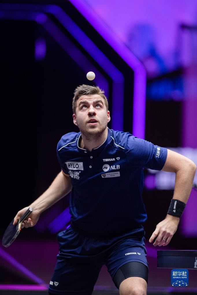 我们都期待 我们都期待