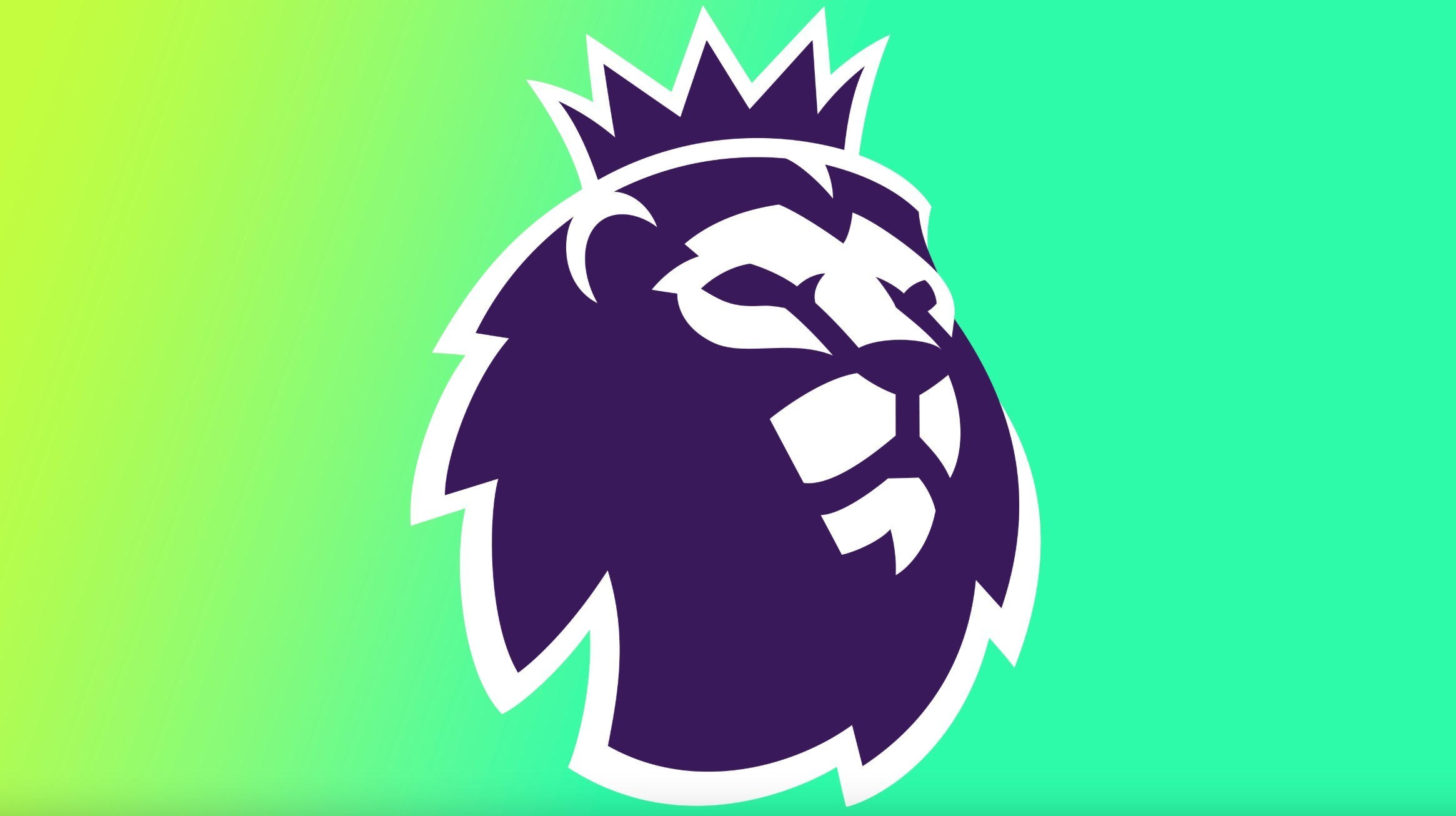 网球爱好者 网球爱好者