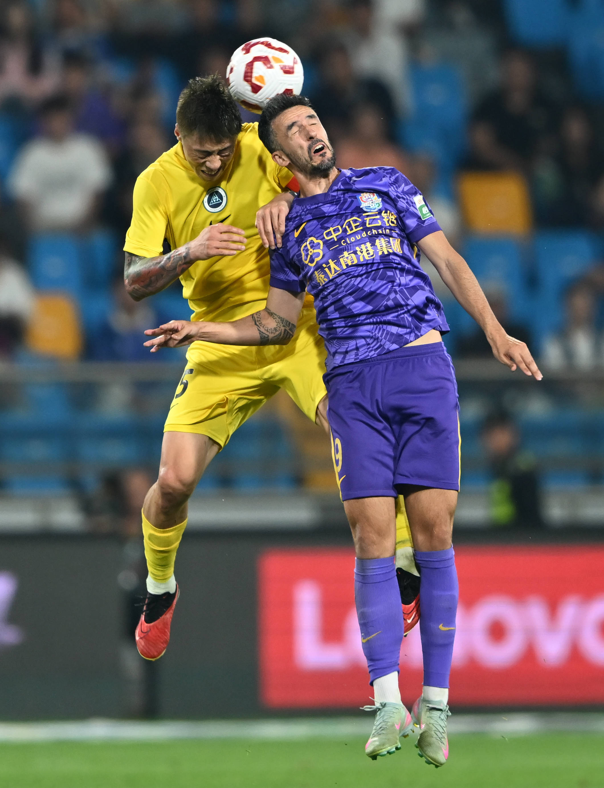 以文本与美 以文本与美
